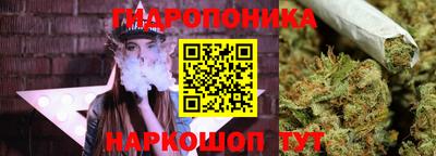 тгк Кимры