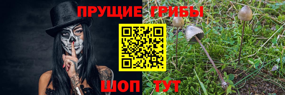Лениногорск  Галлюциногенные грибы MAGIC MUSHROOMS  сколько стоит  Псилоцибиновые грибы MAGIC MUSHROOMS  Вход с VPN 