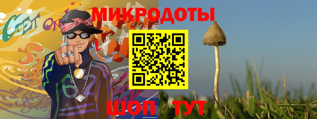 Псилоцибиновые грибы мицелий Лениногорск